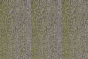 Ковровая плитка Desso Fuse Create / Planks 7073 Planks фото  | FLOORDEALER